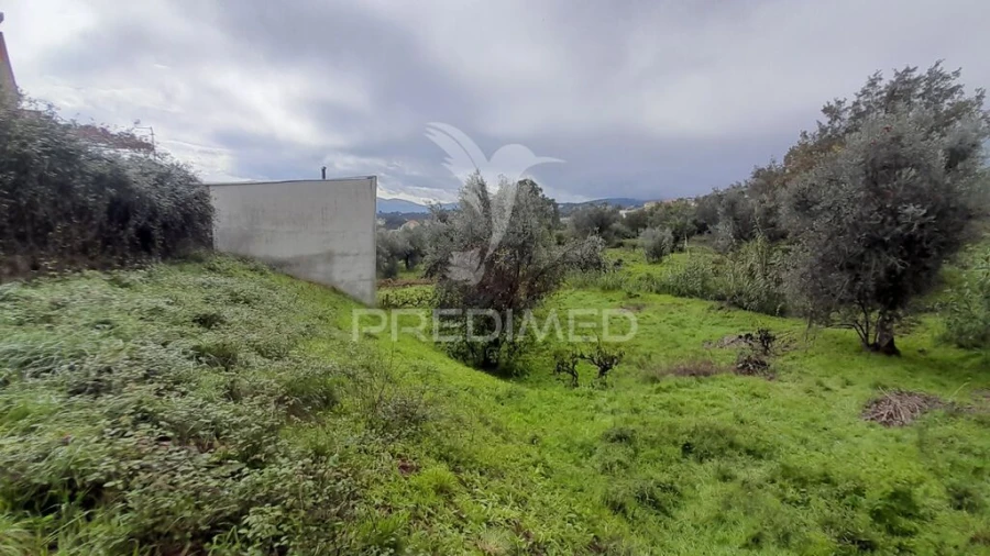 Terreno para Venda em Tortosendo Foto 3