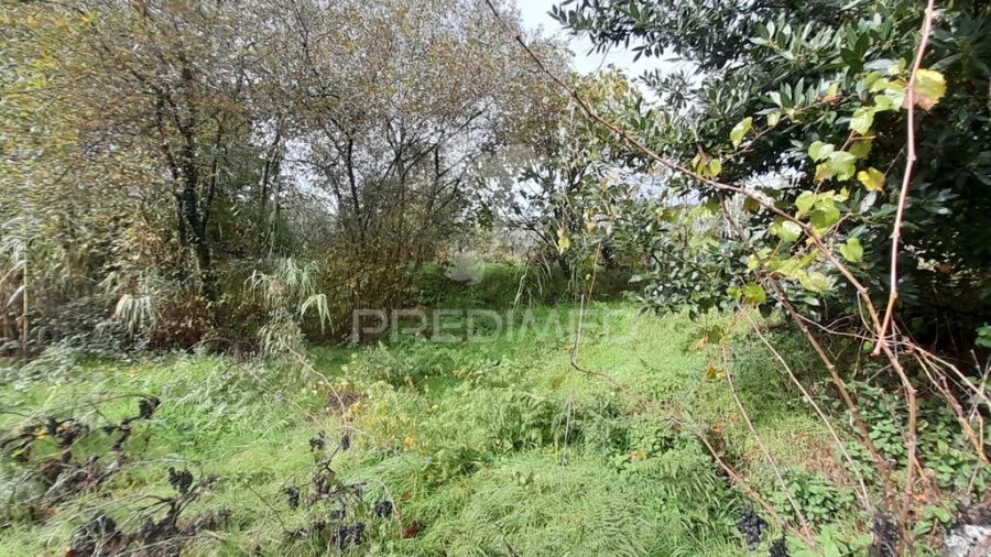 Terreno para Venda em Tortosendo Foto 12