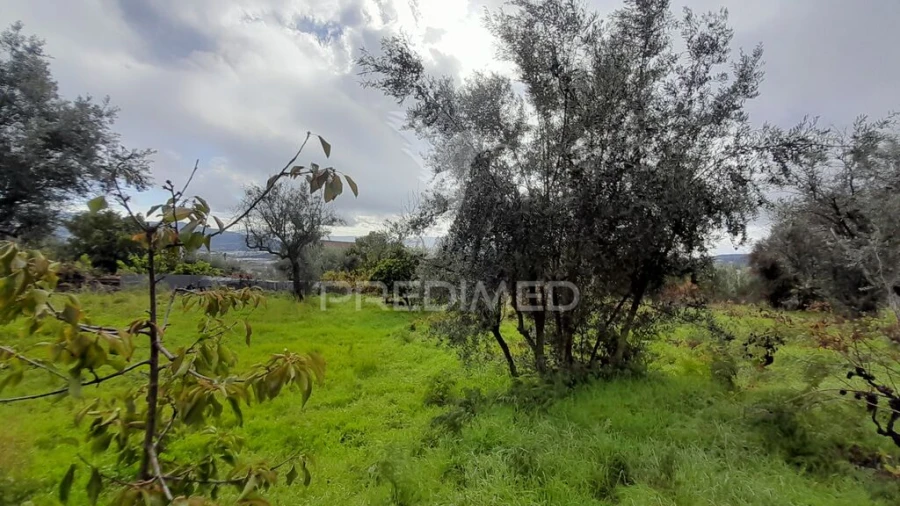Terreno para Venda em Tortosendo Foto 15
