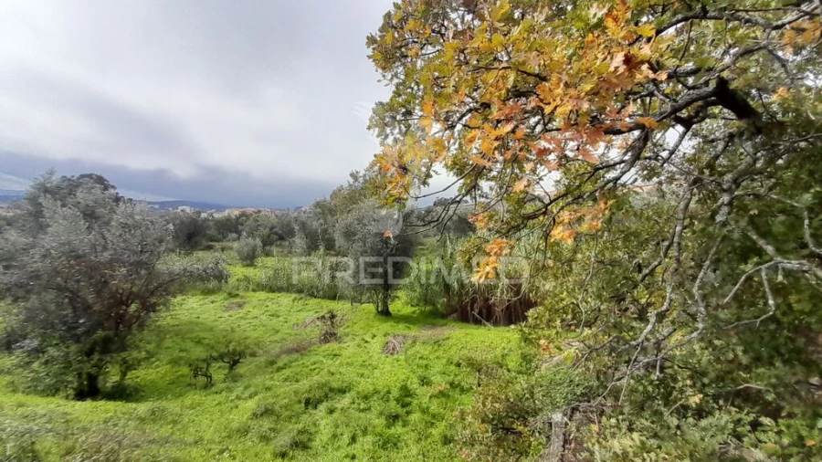 Terreno para Venda em Tortosendo Foto 2
