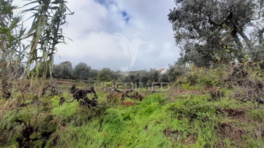 Terreno para Venda em Tortosendo Foto 10