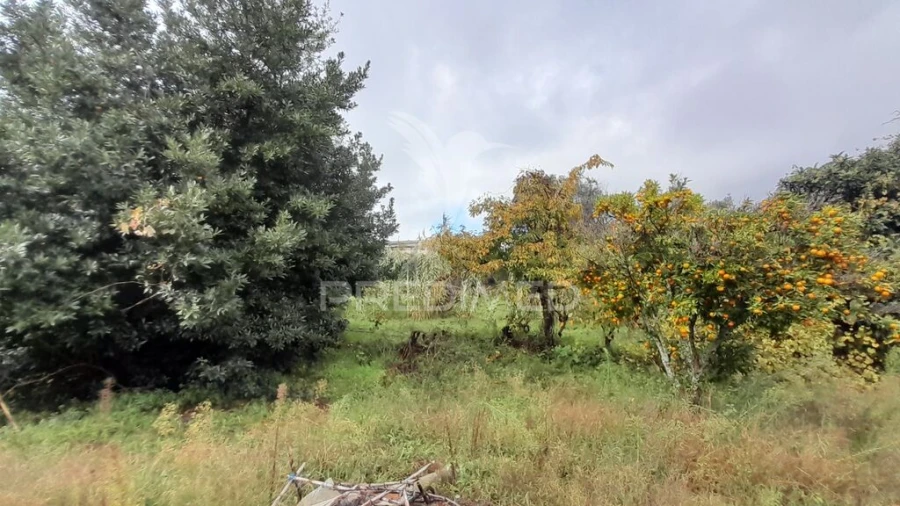 Terreno para Venda em Tortosendo Foto 16