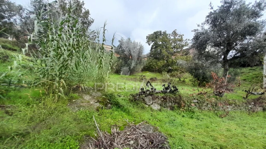 Terreno para Venda em Tortosendo Foto 9