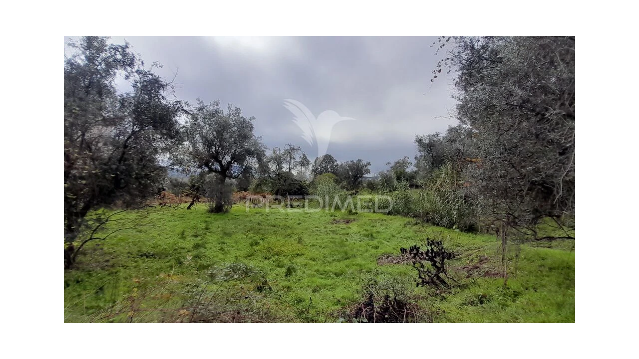 Terreno para Venda em Tortosendo Foto 5