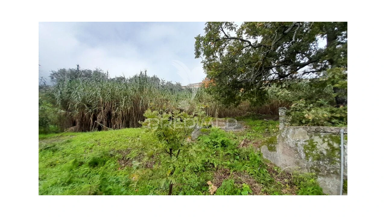 Terreno para Venda em Tortosendo Foto 4