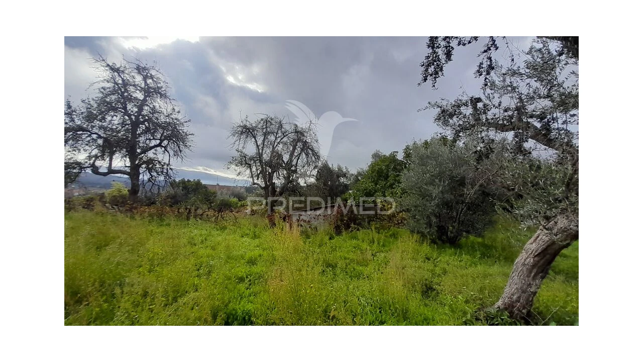 Terreno para Venda em Tortosendo Foto 20