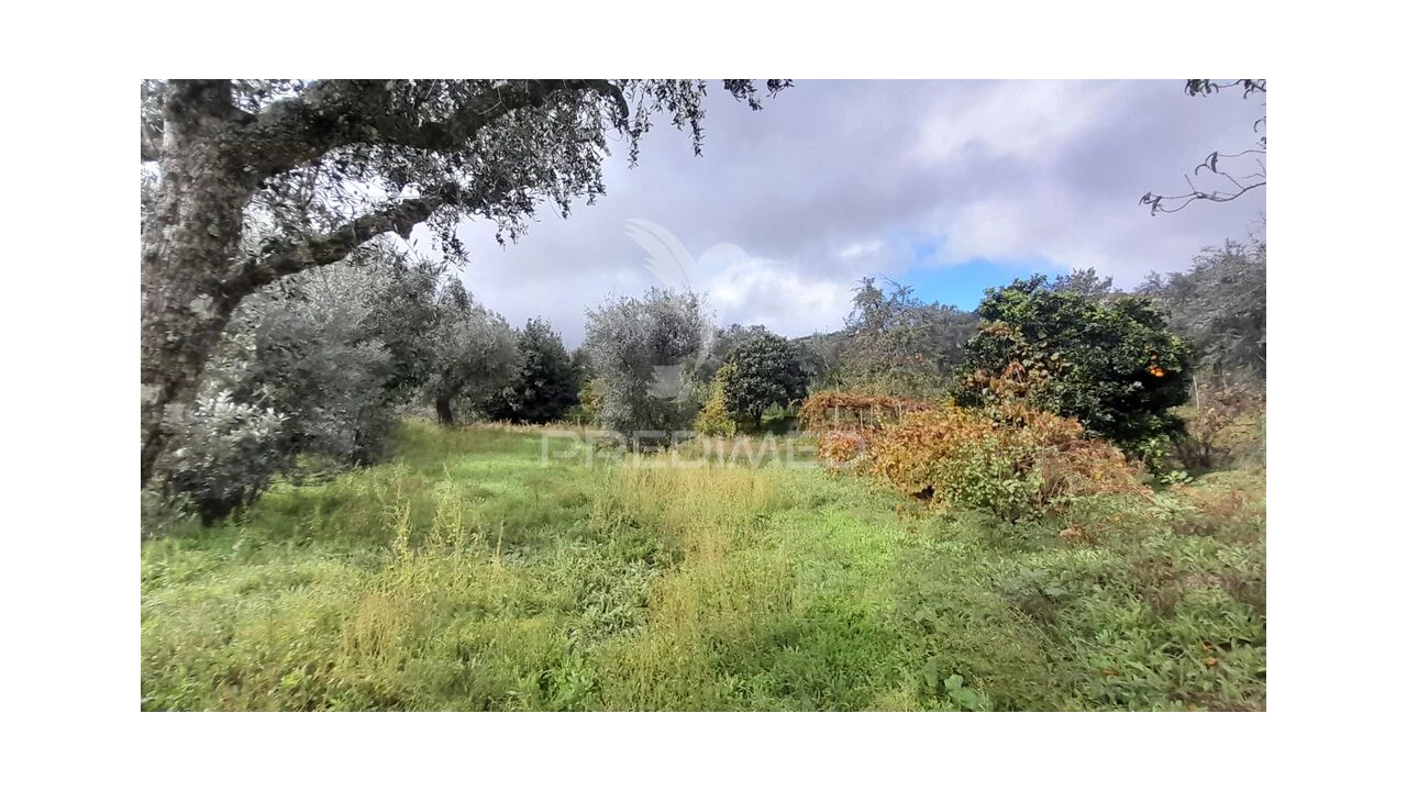 Terreno para Venda em Tortosendo Foto 19