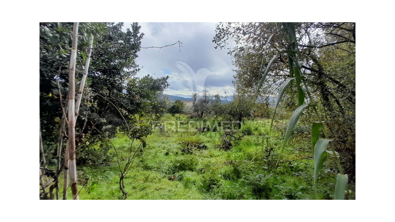 Terreno para Venda em Tortosendo Foto 11