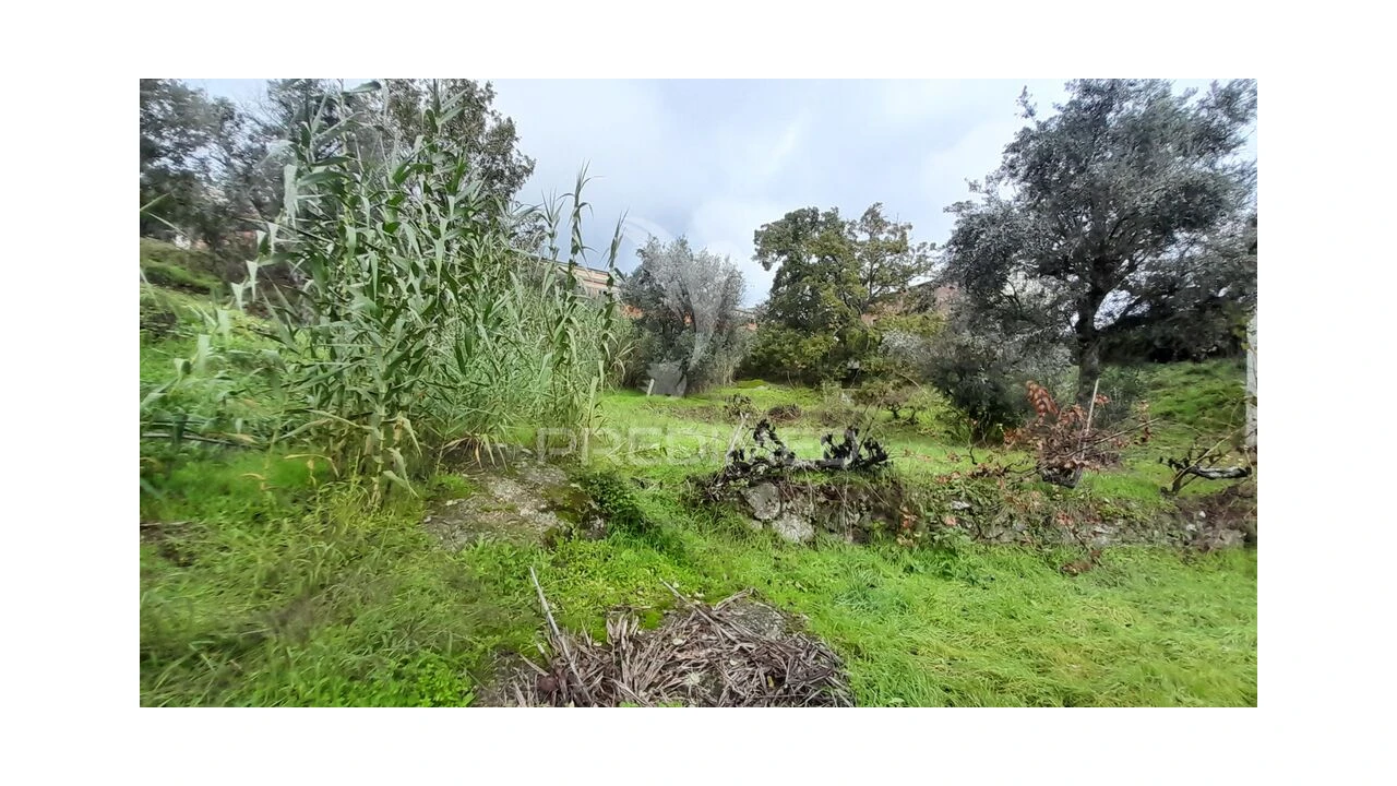 Terreno para Venda em Tortosendo Foto 9