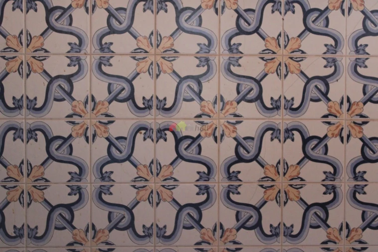 Quinta T6 para Venda em Baleizão Foto 11