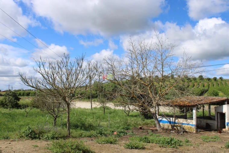 Quinta T6 para Venda em Baleizão Foto 25