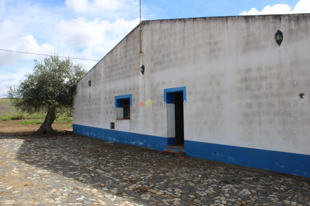 Quinta T6 para Venda em Baleizão Foto 6