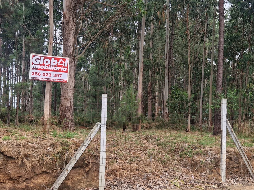 Terreno para Venda em Santa Maria da Feira, Travanca, Sanfins e Espargo Foto 1