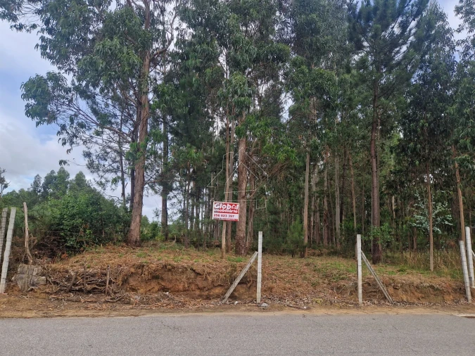 Terreno para Venda em Santa Maria da Feira, Travanca, Sanfins e Espargo Foto 2
