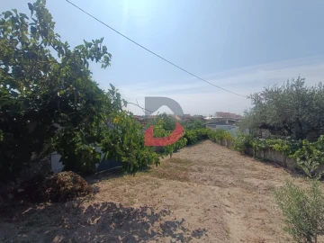 Terreno para Venda em Alcains