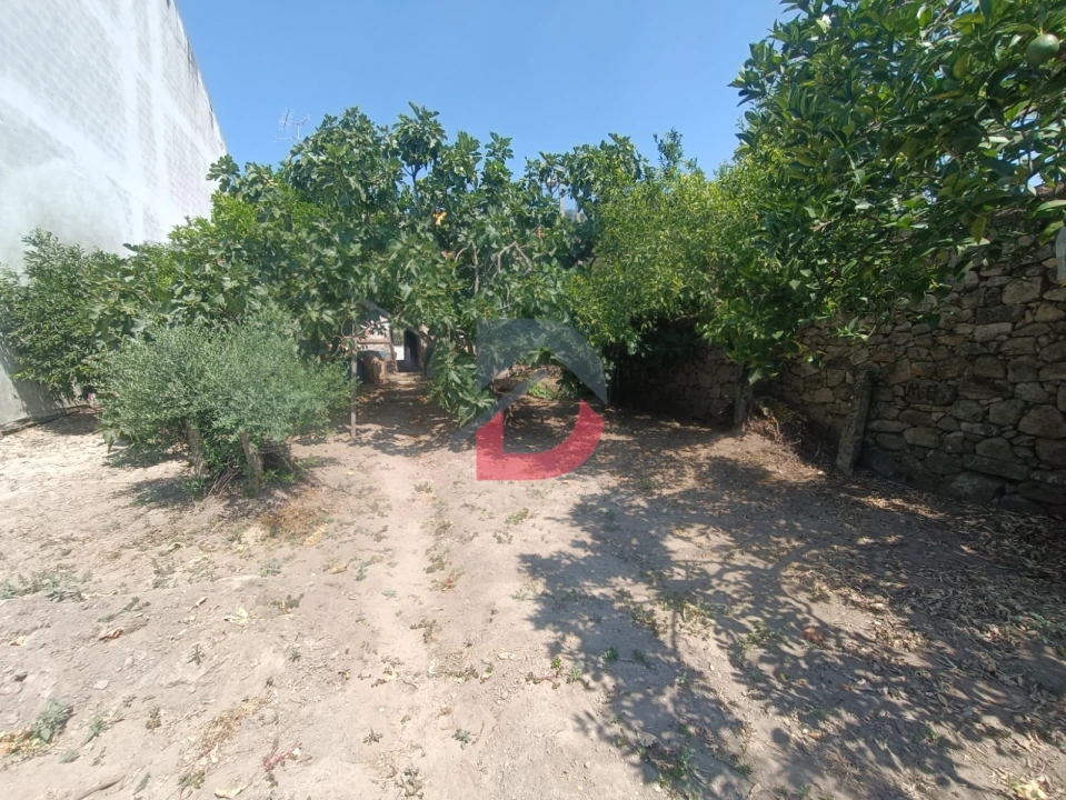 Terreno para Venda em Alcains Foto 4
