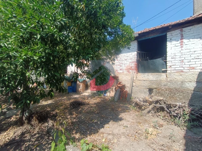 Terreno para Venda em Alcains Foto 5