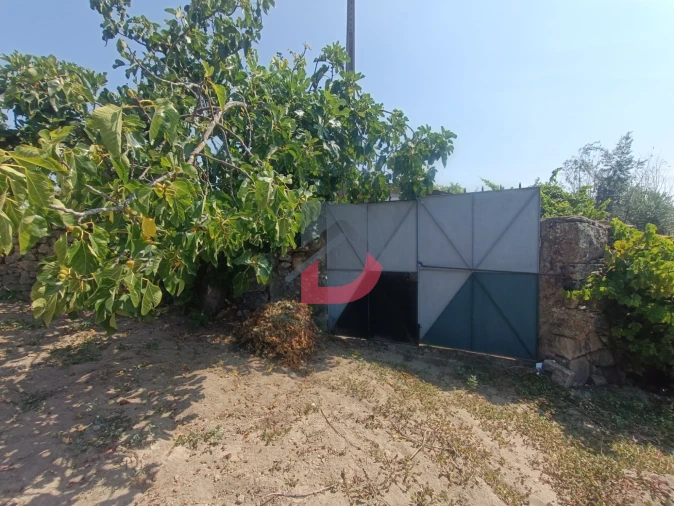 Terreno para Venda em Alcains Foto 8
