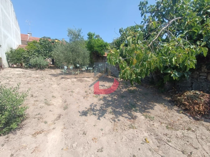 Terreno para Venda em Alcains Foto 2