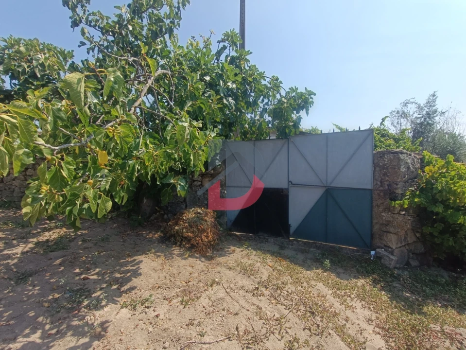 Terreno para Venda em Alcains Foto 8