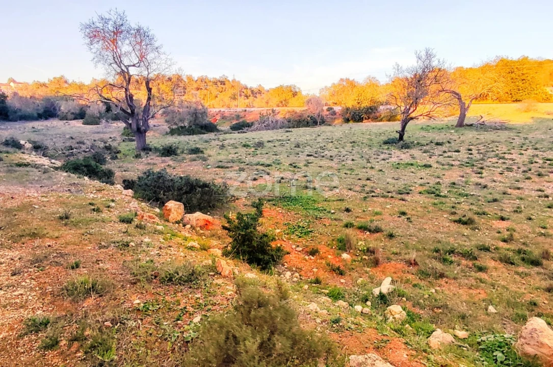 Terreno para Venda em Algoz e Tunes Foto 7