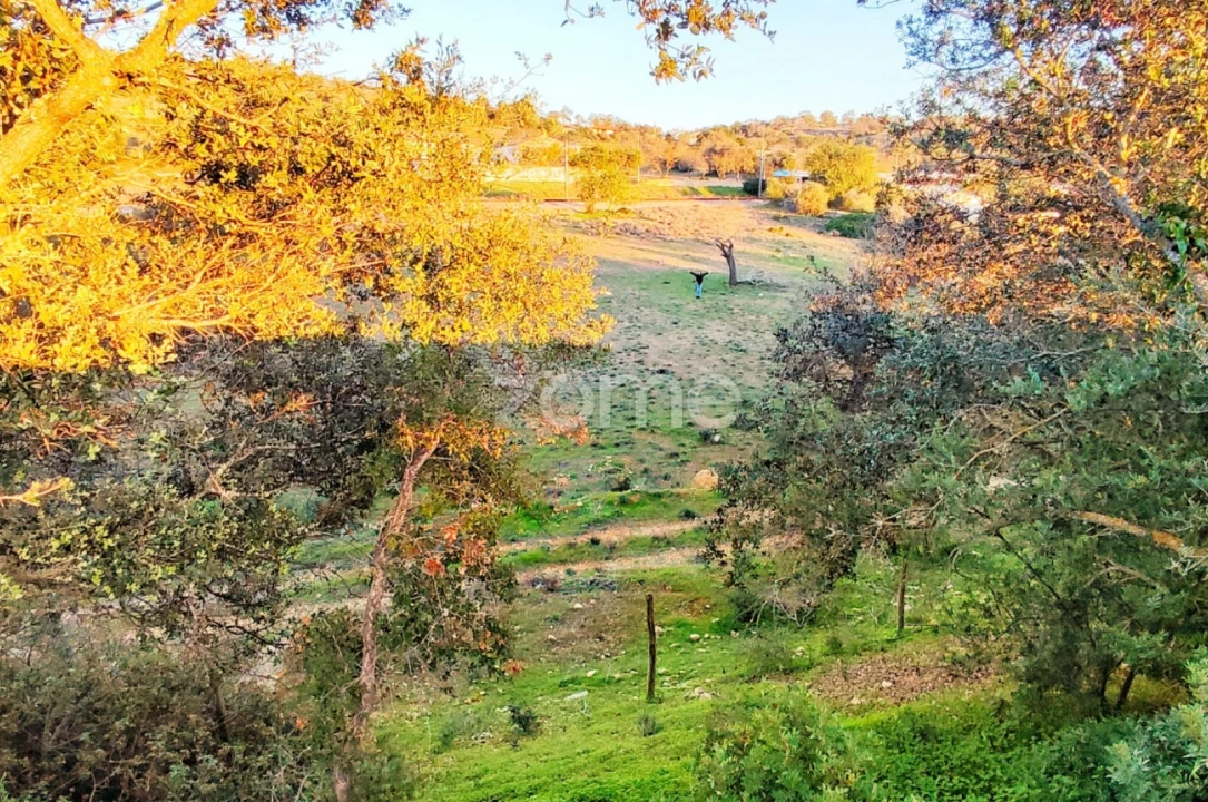 Terreno para Venda em Algoz e Tunes Foto 8