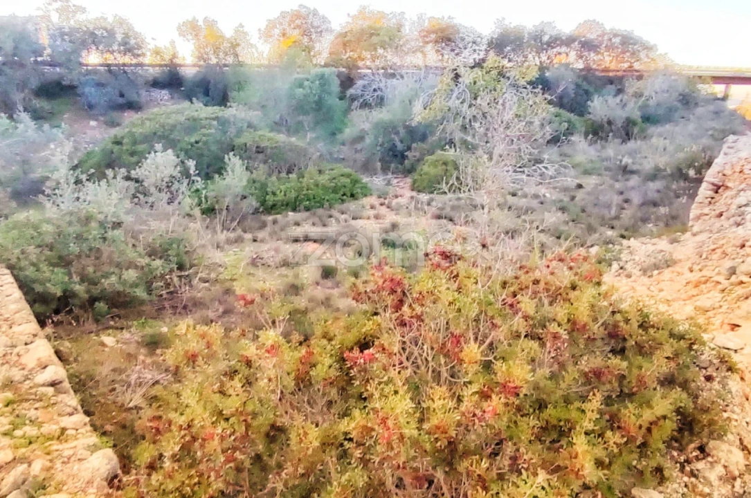 Terreno para Venda em Algoz e Tunes Foto 9