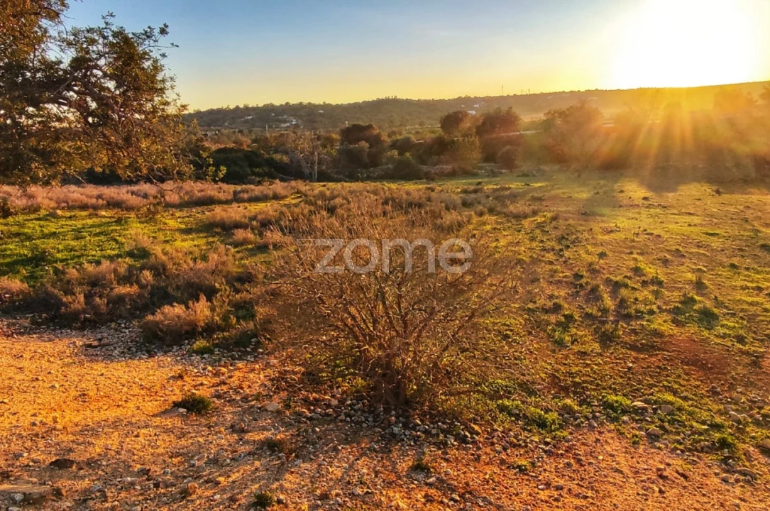 Terreno para Venda em Algoz e Tunes Foto 10