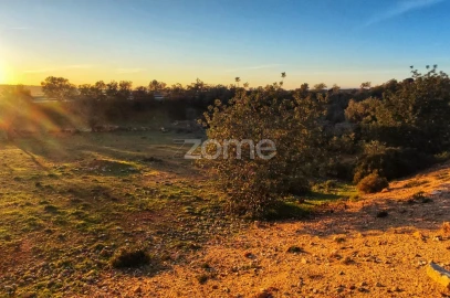 Terreno para Venda em Algoz e Tunes