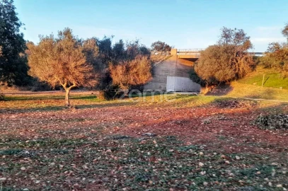 Terreno para Venda em Algoz e Tunes
