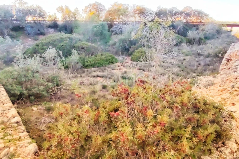 Terreno para Venda em Algoz e Tunes Foto 9