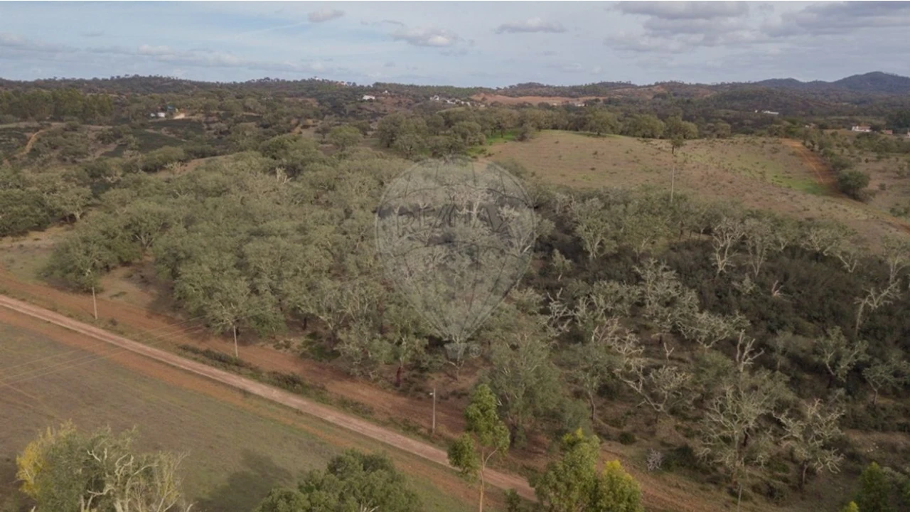 Quinta T2 para Venda em Cercal Foto 20