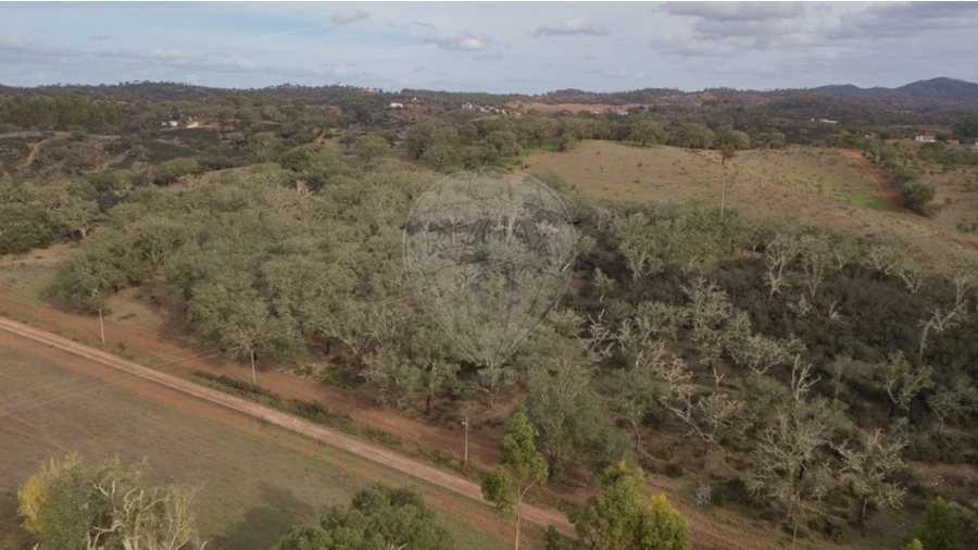 Quinta T2 para Venda em Cercal Foto 20