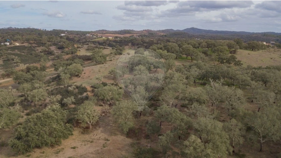 Quinta T2 para Venda em Cercal Foto 21