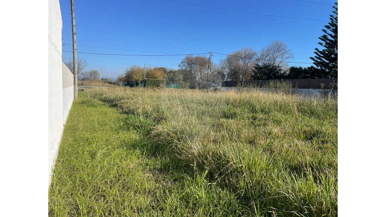 Terreno para Venda em Ovar, São João, Arada e São Vicente de Pereira Jusã Foto 5
