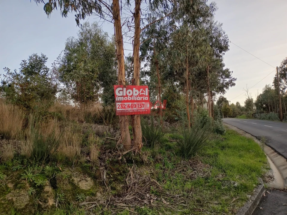 Terreno Agricola ou Rústico para Venda em Queirã Foto 1