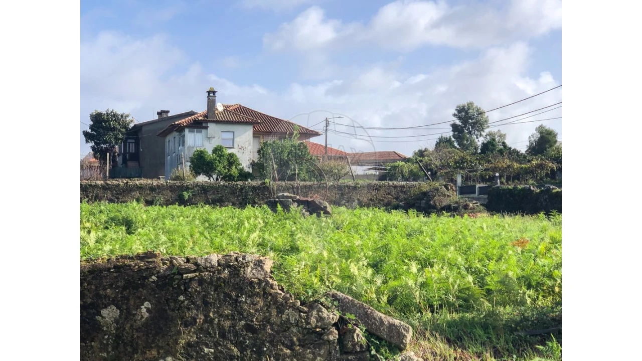 Terreno para Venda em Vila de Cucujães Foto 2