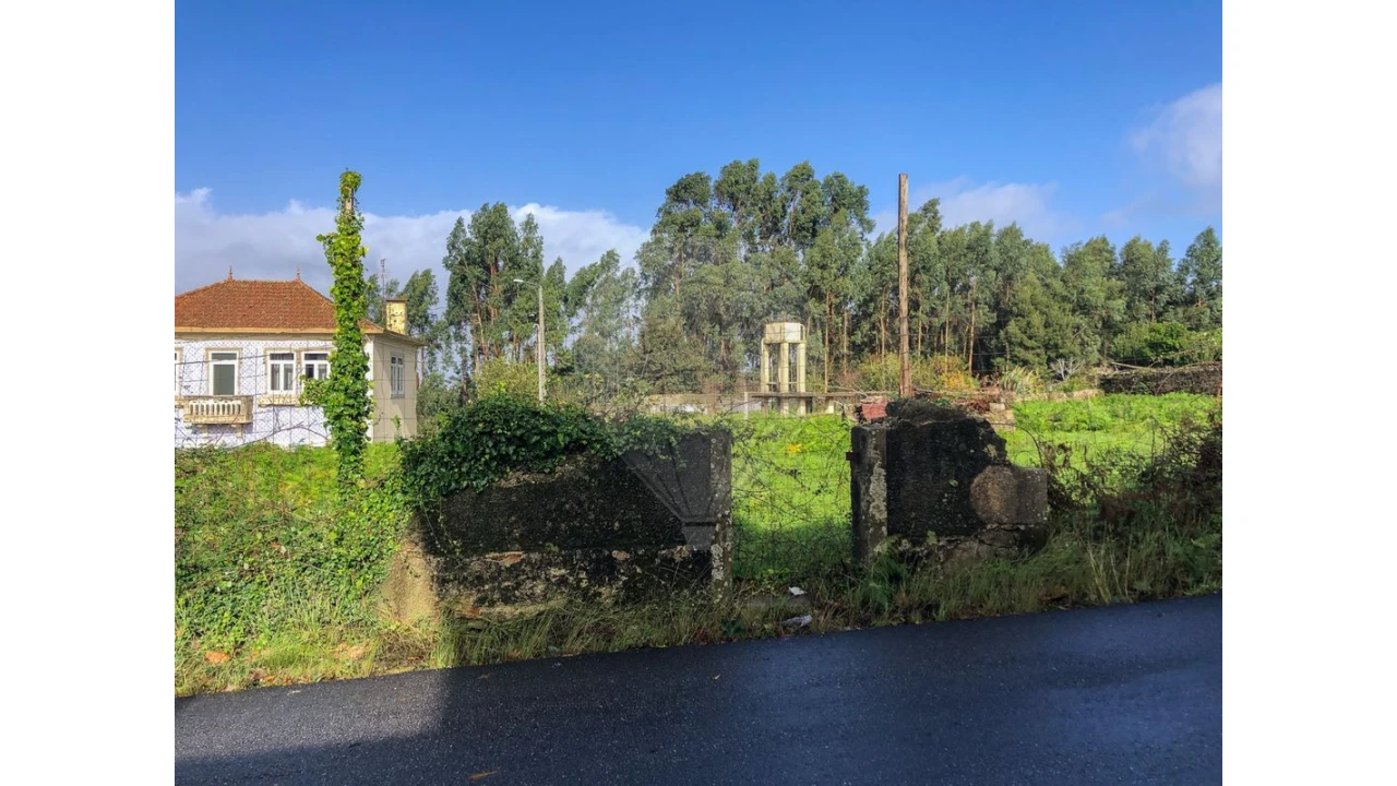 Terreno para Venda em Vila de Cucujães Foto 8
