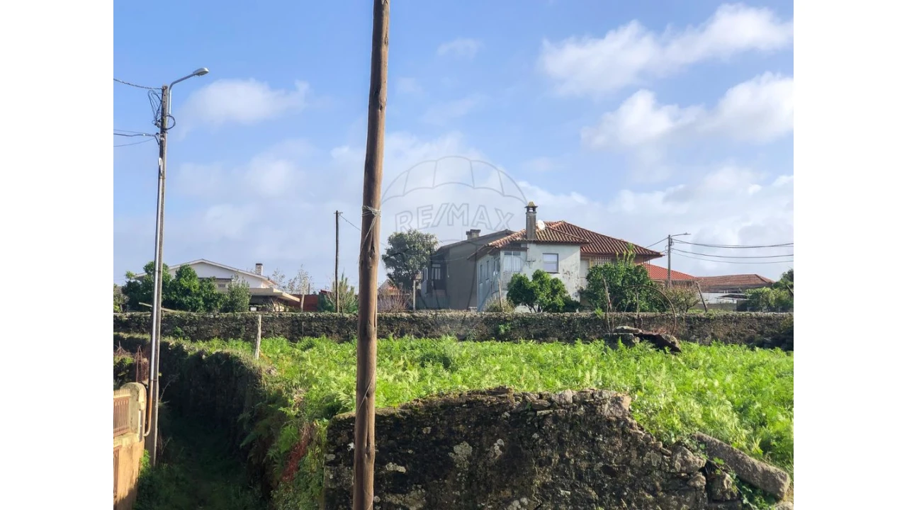 Terreno para Venda em Vila de Cucujães Foto 3