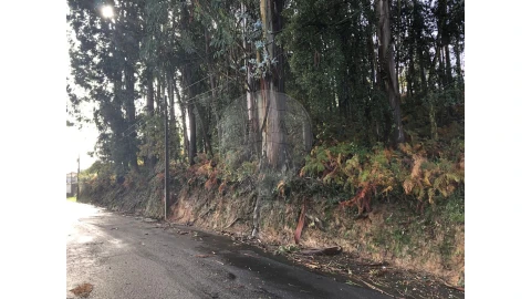 Terreno para Venda em Vila de Cucujães