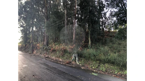 Terreno para Venda em Vila de Cucujães