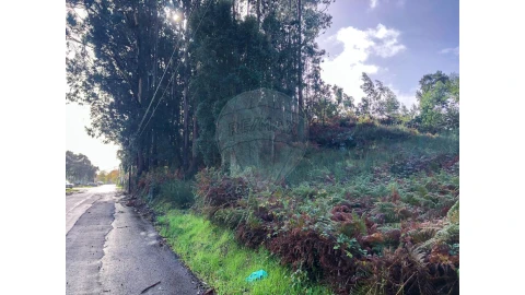 Terreno para Venda em Vila de Cucujães