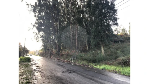 Terreno para Venda em Vila de Cucujães