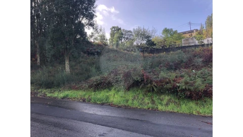 Terreno para Venda em Vila de Cucujães