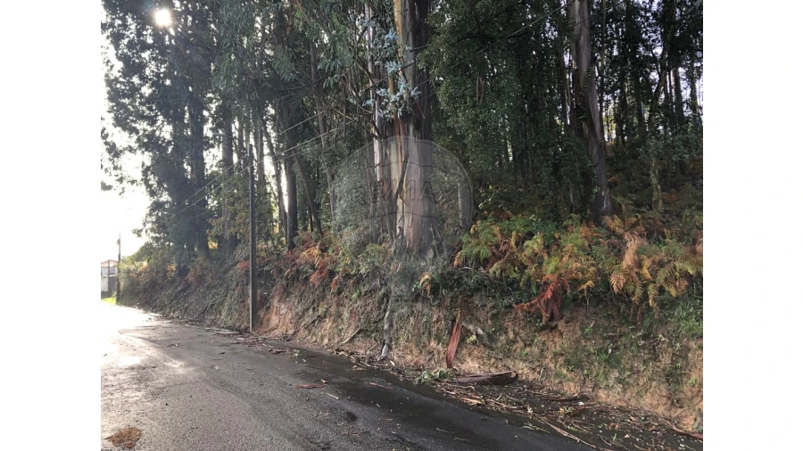 Terreno para Venda em Vila de Cucujães Foto 7