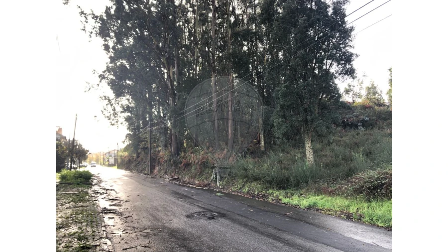 Terreno para Venda em Vila de Cucujães Foto 3
