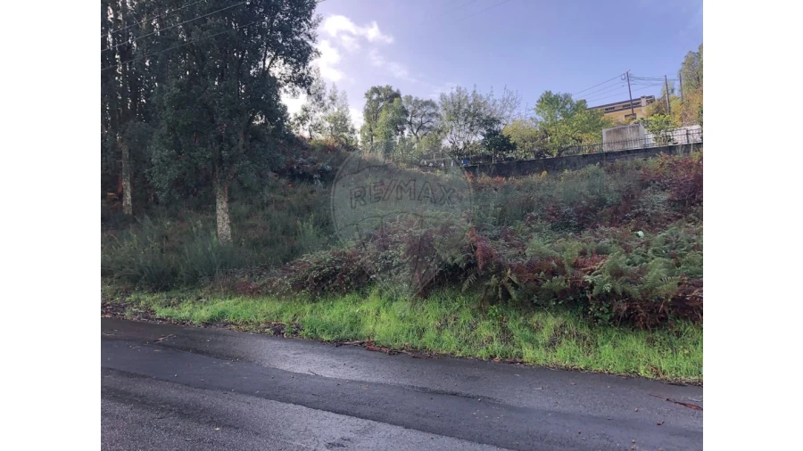 Terreno para Venda em Vila de Cucujães Foto 5