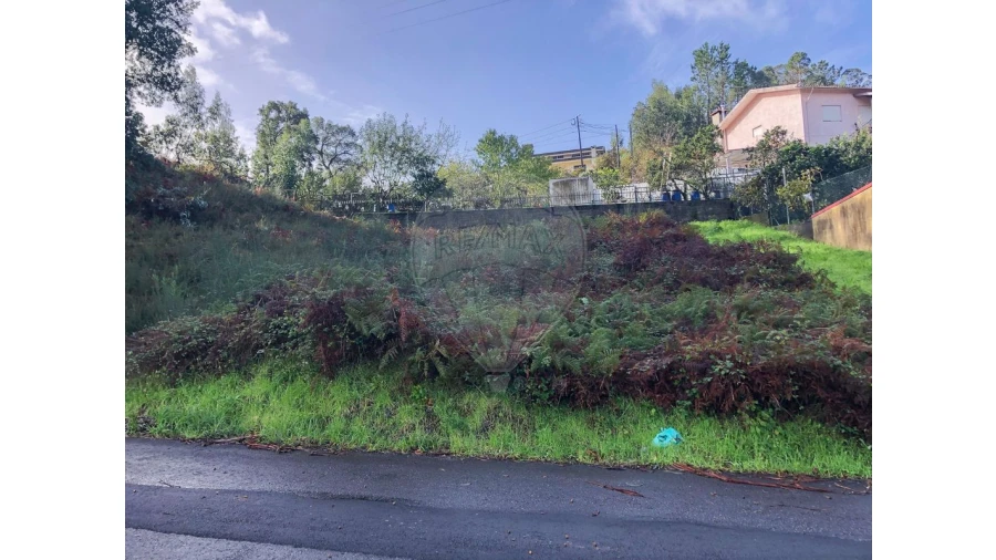 Terreno para Venda em Vila de Cucujães Foto 4