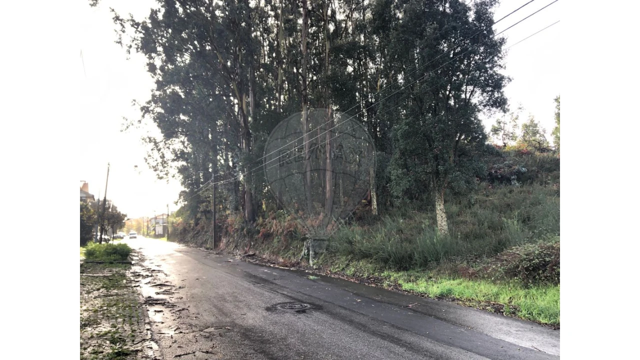 Terreno para Venda em Vila de Cucujães Foto 3