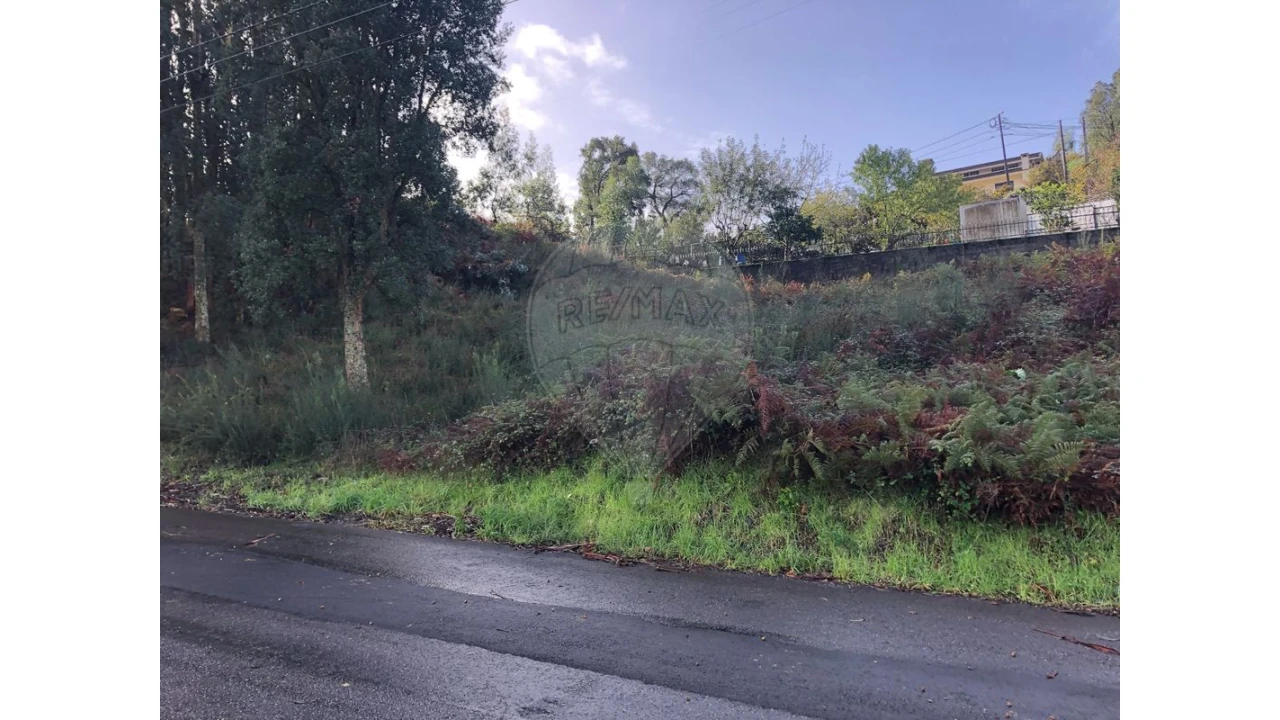 Terreno para Venda em Vila de Cucujães Foto 5